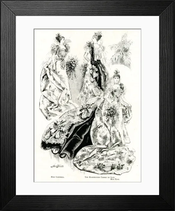 Framed Print : Dresses at Queen Victorias Fifth Drawing Room Framed Print : Dresses at Queen Victorias Fifth Drawing Room