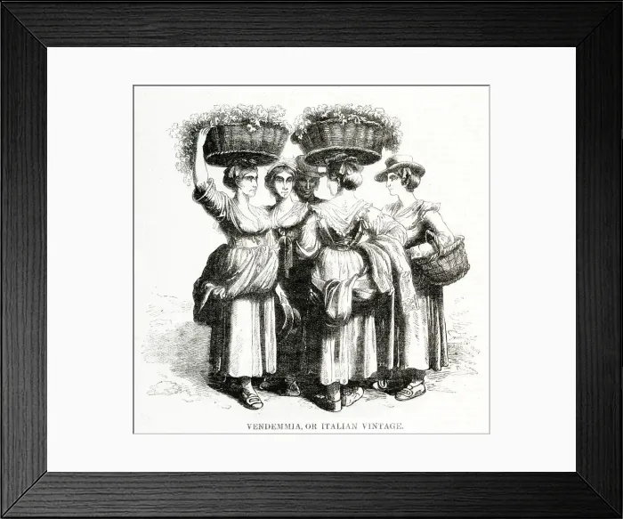 Framed Print : Women with baskets of grapes, Southern Italy Framed Print : Women with baskets of grapes, Southern Italy