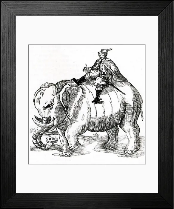 Framed Print : Thomas Coryate (Coryat), English traveller and author Framed Print : Thomas Coryate (Coryat), English traveller and author
