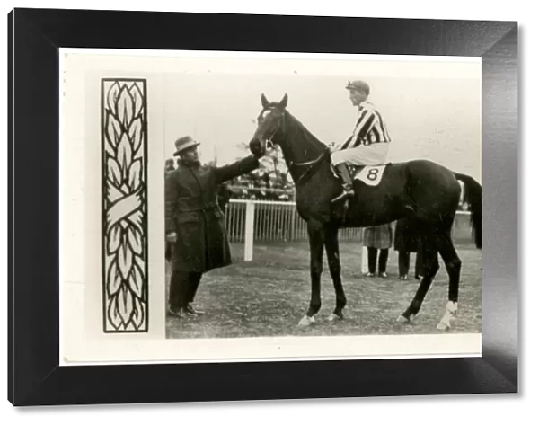 Limerick, Australian race horse