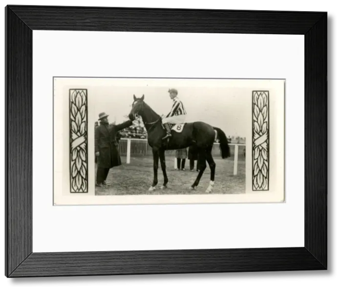 Framed Print : Limerick, Australian race horse Framed Print : Limerick, Australian race horse