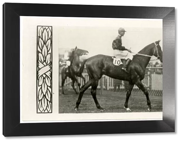 Murillo, Australian race horse