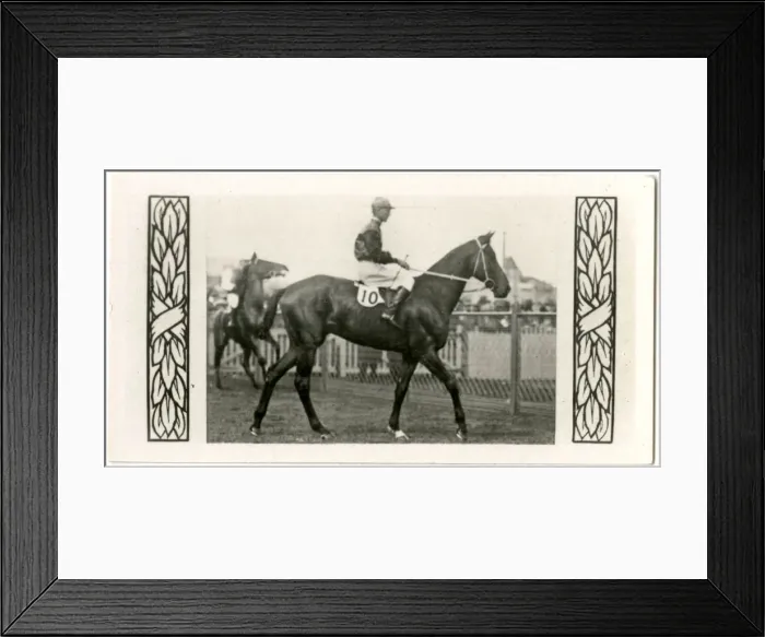 Framed Print : Murillo, Australian race horse Framed Print : Murillo, Australian race horse