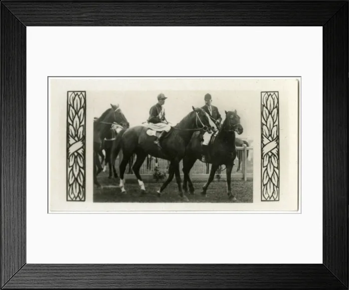 Framed Print : Textile, Australian race horse Framed Print : Textile, Australian race horse