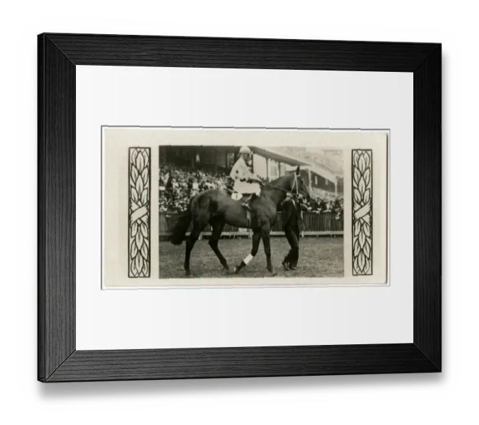 Framed Print : Royal Charter, Australian race horse Framed Print : Royal Charter, Australian race horse