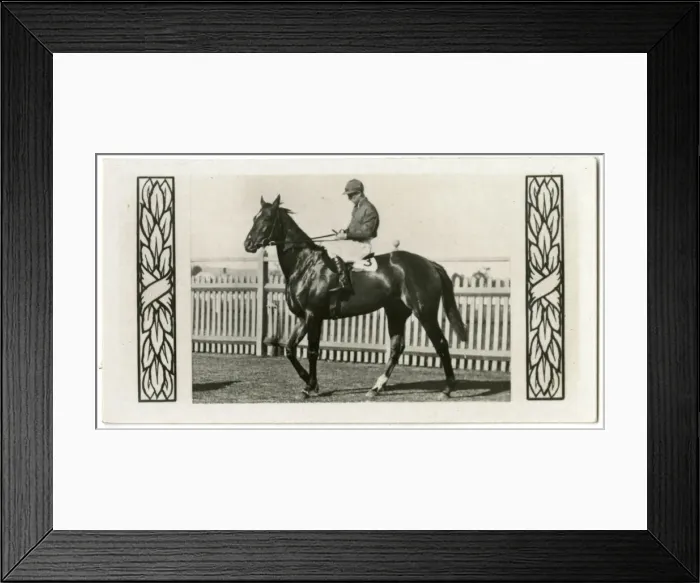 Framed Print : Valcaire, Australian race horse Framed Print : Valcaire, Australian race horse