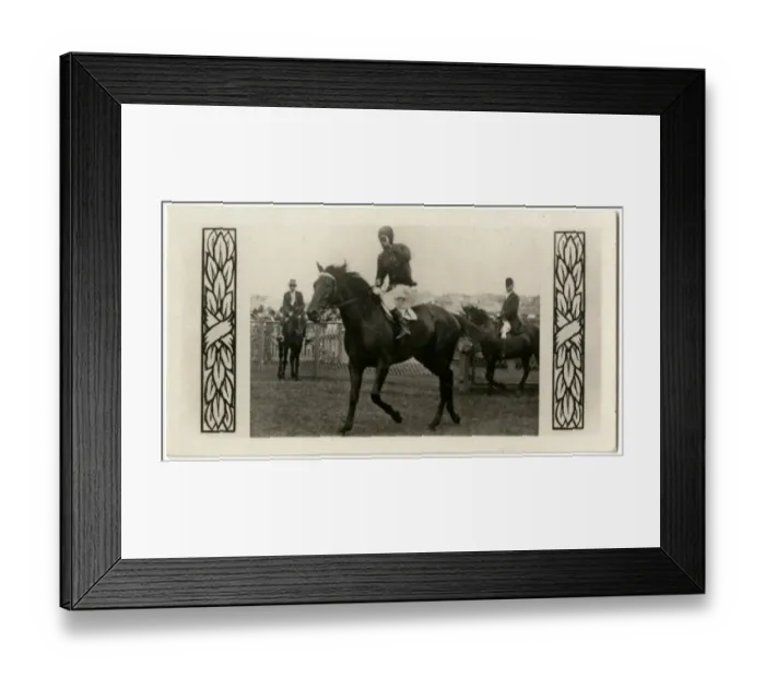 Framed Print : Bacchus, Australian race horse Framed Print : Bacchus, Australian race horse