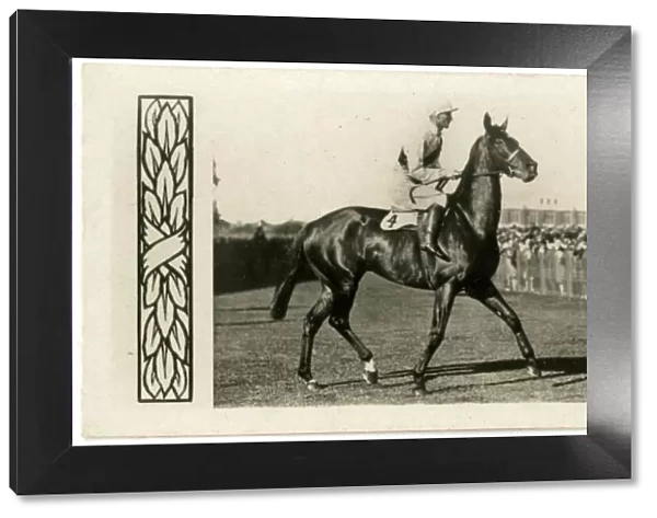 Pilliewinkie, Australian race horse