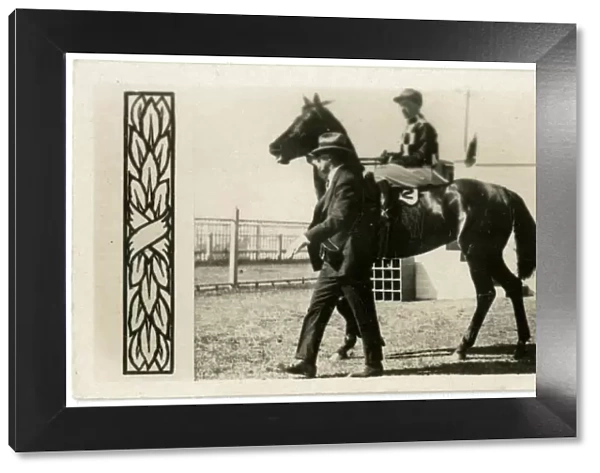 Gothic, Australian race horse