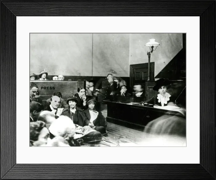Framed Print : Mrs Dora Montefiore, suffragist, in court Framed Print : Mrs Dora Montefiore, suffragist, in court