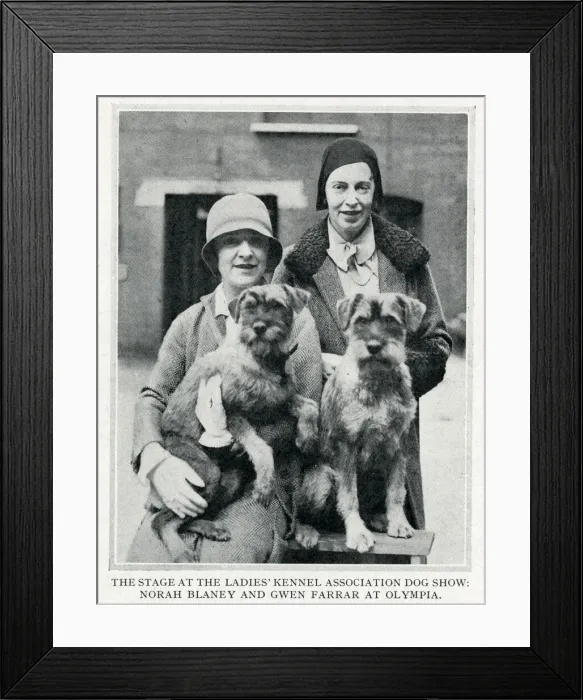 Framed Print : Norah Blaney & Gwen Farrar at Olympia Dog Show Framed Print : Norah Blaney & Gwen Farrar at Olympia Dog Show