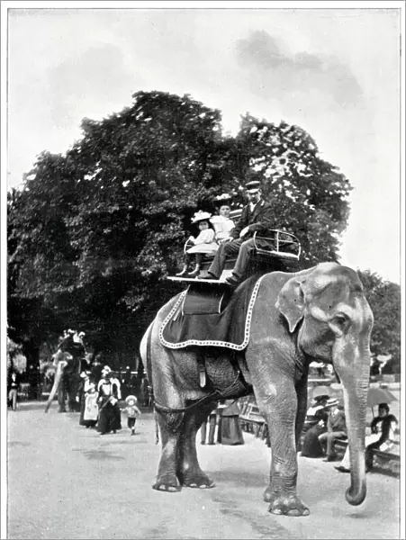 Children riding elephants at Zoological Gardens 1896