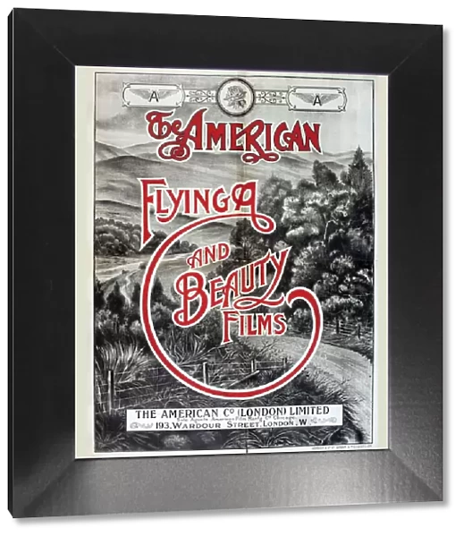 Poster, The American Flying and Beauty Films