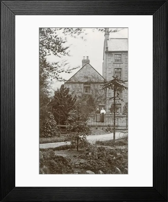 Framed Print : Unknown British town scene - with Monkey Puzzle tree Framed Print : Unknown British town scene - with Monkey Puzzle tree