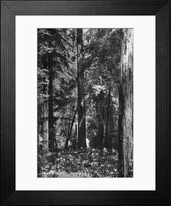 Framed Print : Bohemian Club (of San Francisco) - Bohemian Grove Framed Print : Bohemian Club (of San Francisco) - Bohemian Grove
