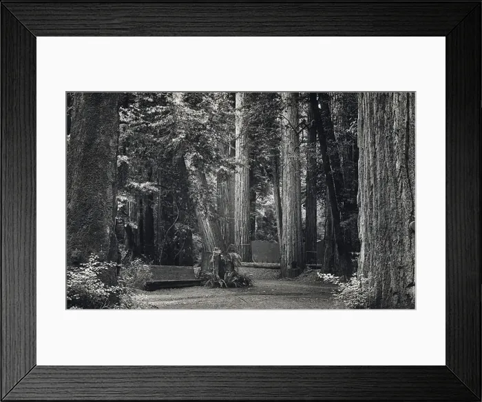 Framed Print : Bohemian Club (of San Francisco) - Bohemian Grove Framed Print : Bohemian Club (of San Francisco) - Bohemian Grove