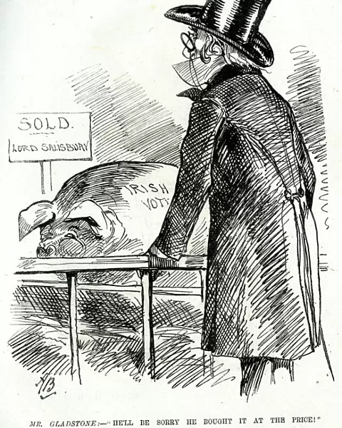 Cartoon, Gladstone and the Irish Vote