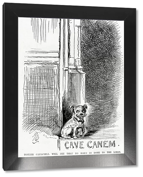 Cartoon, Randolph Churchill, Cave Canem