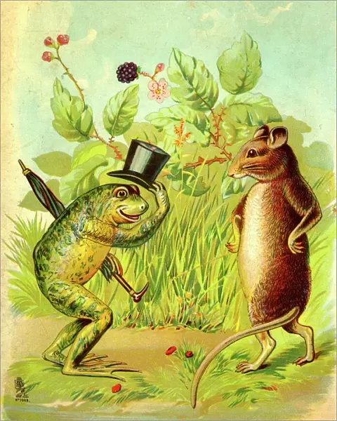 The Frog and the Rat