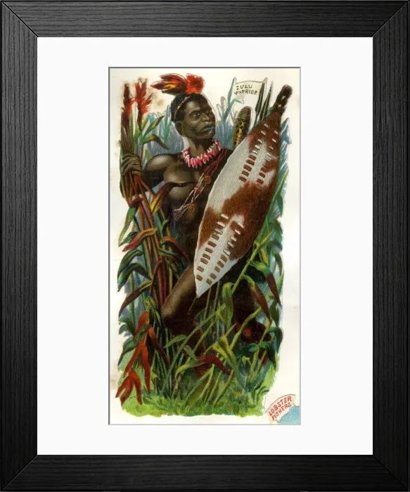 Framed Print : Victorian Scrap, Zulu Warrior Framed Print : Victorian Scrap, Zulu Warrior