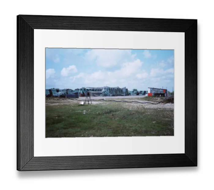 Framed Print : Foxy-Golf at Belize Framed Print : Foxy-Golf at Belize