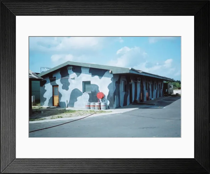 Framed Print : Foxy-Golf at Belize Framed Print : Foxy-Golf at Belize