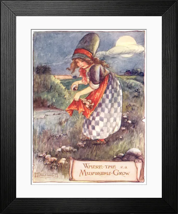 Framed Print : Where the mushrooms grow Framed Print : Where the mushrooms grow