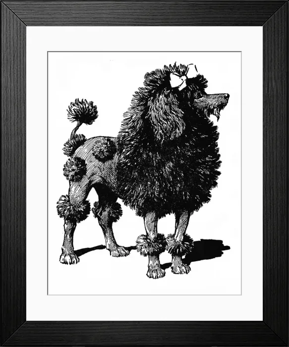 Framed Print : French poodle Framed Print : French poodle