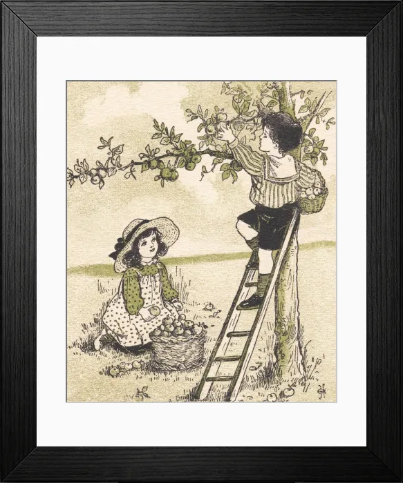 Framed Print : Apple tree adventure Framed Print : Apple tree adventure