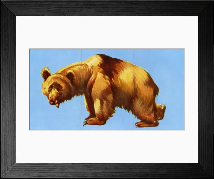 Framed Print : Zoo Misfitz card game - brown bear Framed Print : Zoo Misfitz card game - brown bear