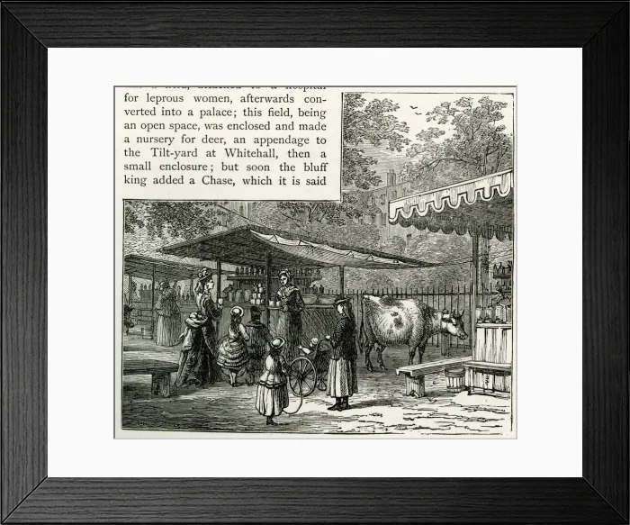 Framed Print : Milk refreshment stall, St Jamess Park, London Framed Print : Milk refreshment stall, St Jamess Park, London