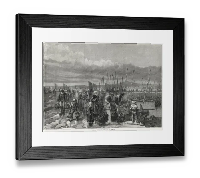Framed Print : Sardine fishery at Brittany 1871 Framed Print : Sardine fishery at Brittany 1871