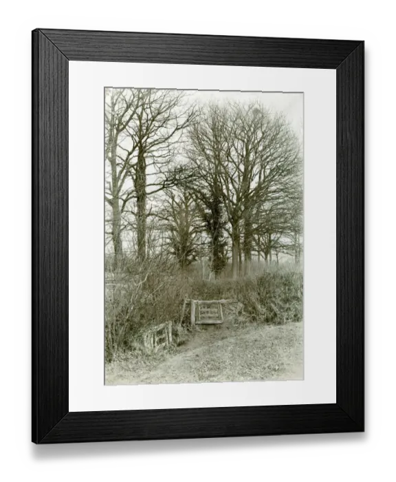 Framed Print : Country footpath near Mathon, Worcestershire Framed Print : Country footpath near Mathon, Worcestershire