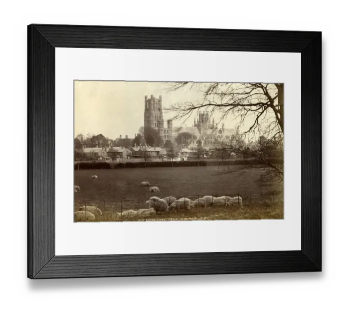 Framed Print : Ely Cathedral, Ely, Cambridgeshire Framed Print : Ely Cathedral, Ely, Cambridgeshire