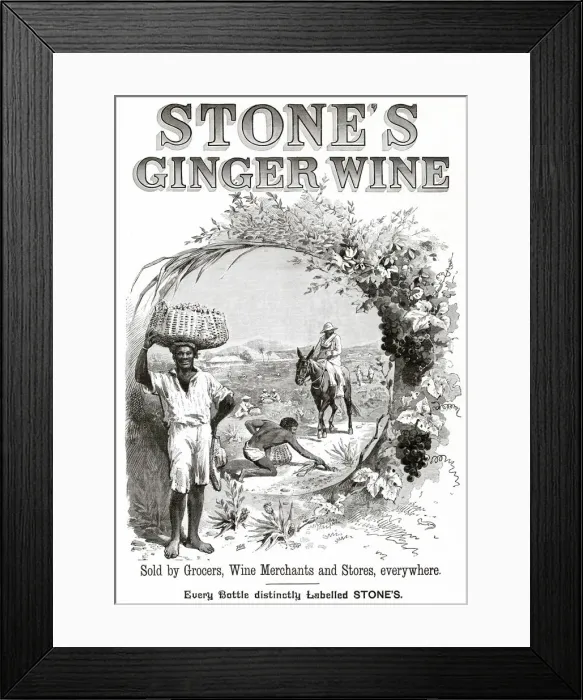 Framed Print : Advertisement for Stones Ginger Wine. Date: 1893 Framed Print : Advertisement for Stones Ginger Wine. Date: 1893