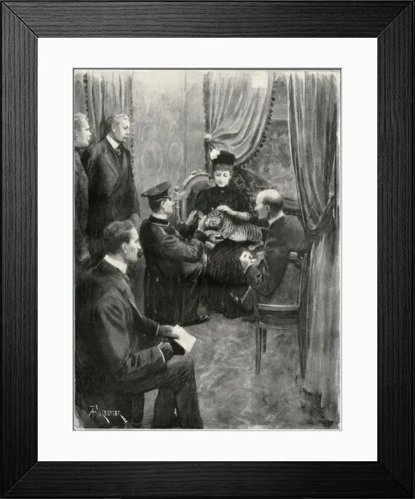 Framed Print : Queen Alexandra with tiger cub at the London Hippodrome Framed Print : Queen Alexandra with tiger cub at the London Hippodrome