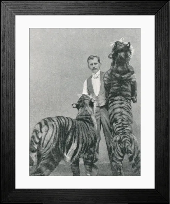 Framed Print : Herr Sawade Framed Print : Herr Sawade