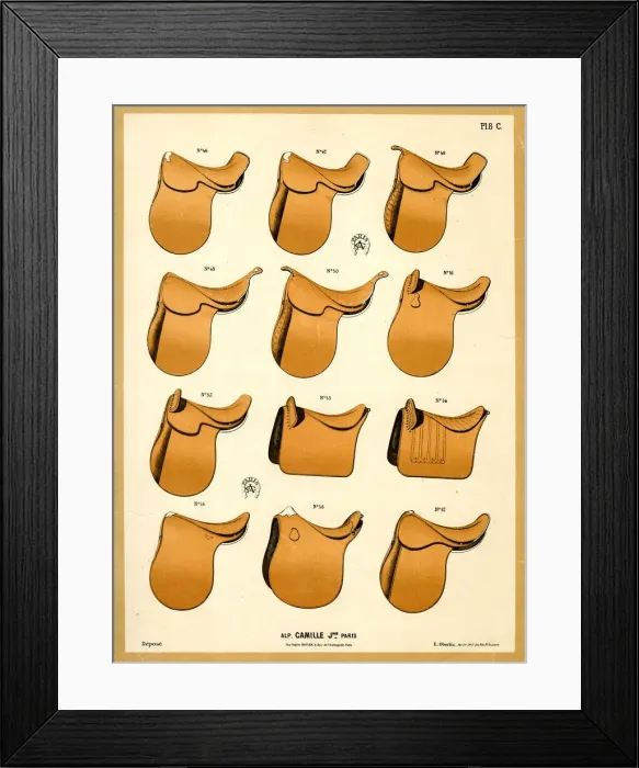 Framed Print : Horse saddles, Camille, Paris Framed Print : Horse saddles, Camille, Paris