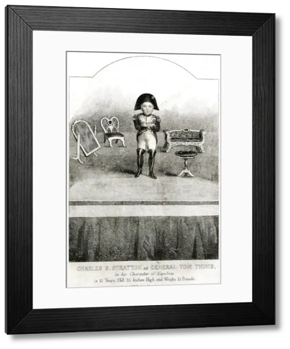 Framed Print : General Tom Thumb as Napoleon Framed Print : General Tom Thumb as Napoleon