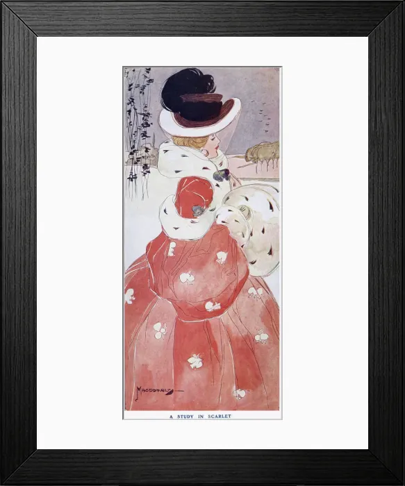Framed Print : A Study in Scarlet by A. K. Macdonald Framed Print : A Study in Scarlet by A. K. Macdonald