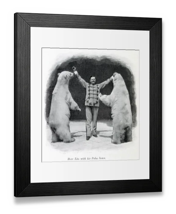 Framed Print : Performing polar bears 1903 Framed Print : Performing polar bears 1903