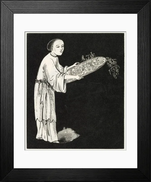 Framed Print : Sifting tea, China Framed Print : Sifting tea, China