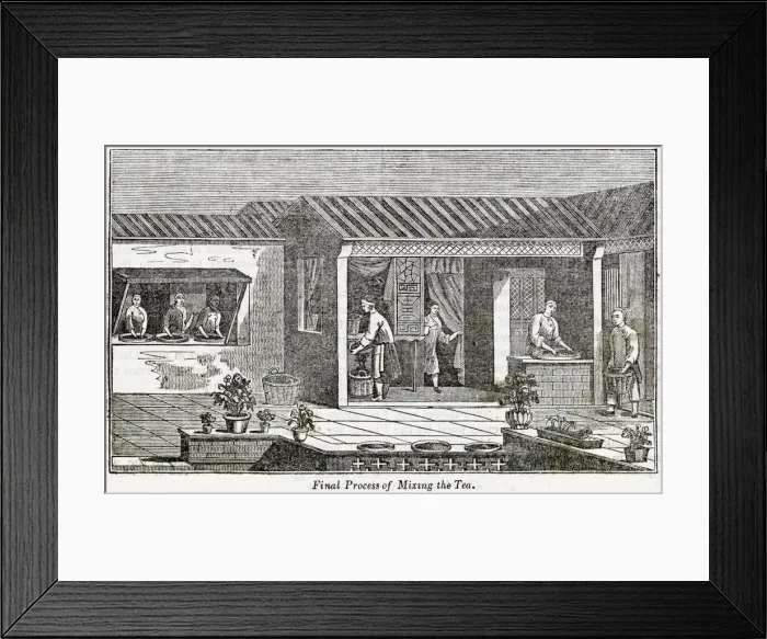 Framed Print : Final process of mixing the tea, China Framed Print : Final process of mixing the tea, China