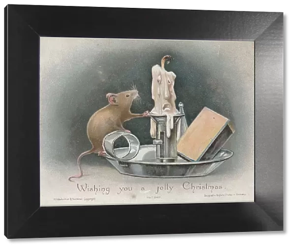 Victorian Greeting Card - Inquisitive Mouse