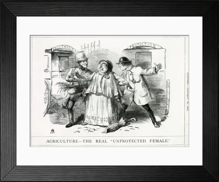 Framed Print : Cartoon, Agriculture -- The Real Unprotected Female Framed Print : Cartoon, Agriculture -- The Real Unprotected Female