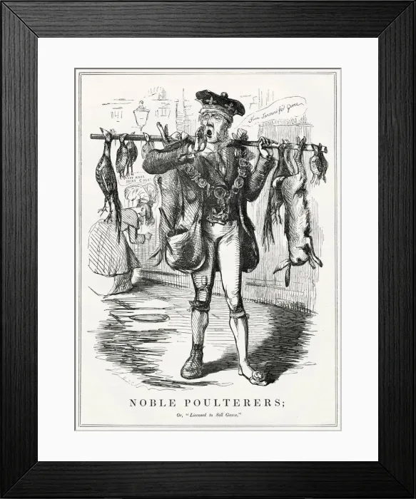 Framed Print : Cartoon, Noble Poulterers; or, Licensed to Sell Game Framed Print : Cartoon, Noble Poulterers; or, Licensed to Sell Game