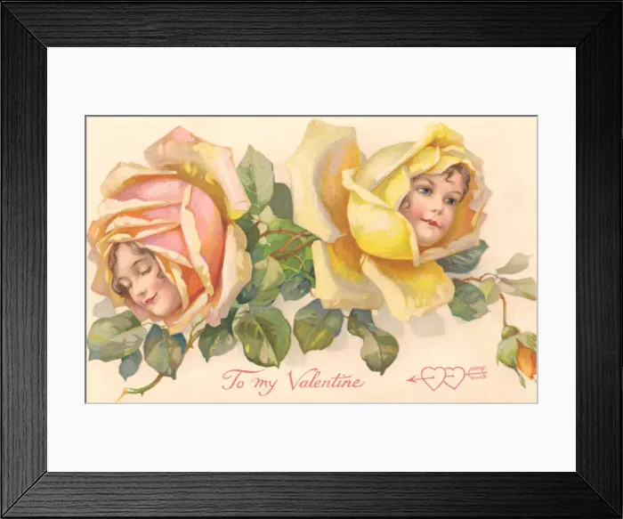 Framed Print : Yellow & pink rose flower faces Framed Print : Yellow & pink rose flower faces