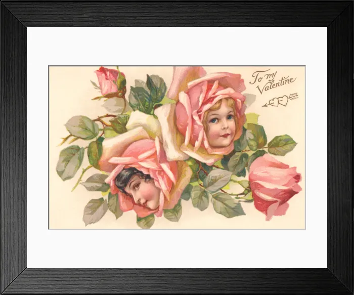Framed Print : Pink rose flower faces Framed Print : Pink rose flower faces