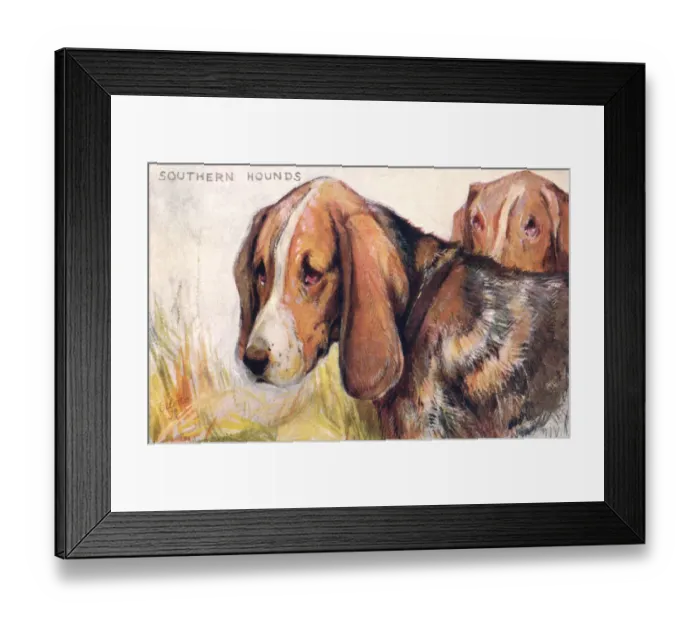 Framed Print : Southern Hounds Framed Print : Southern Hounds