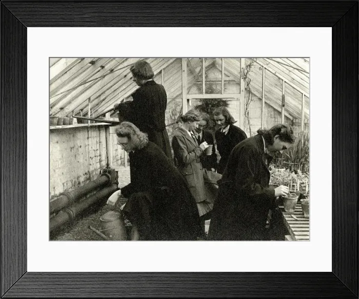 Framed Print : Schoolgirls in greenhouse learning horticulture Framed Print : Schoolgirls in greenhouse learning horticulture